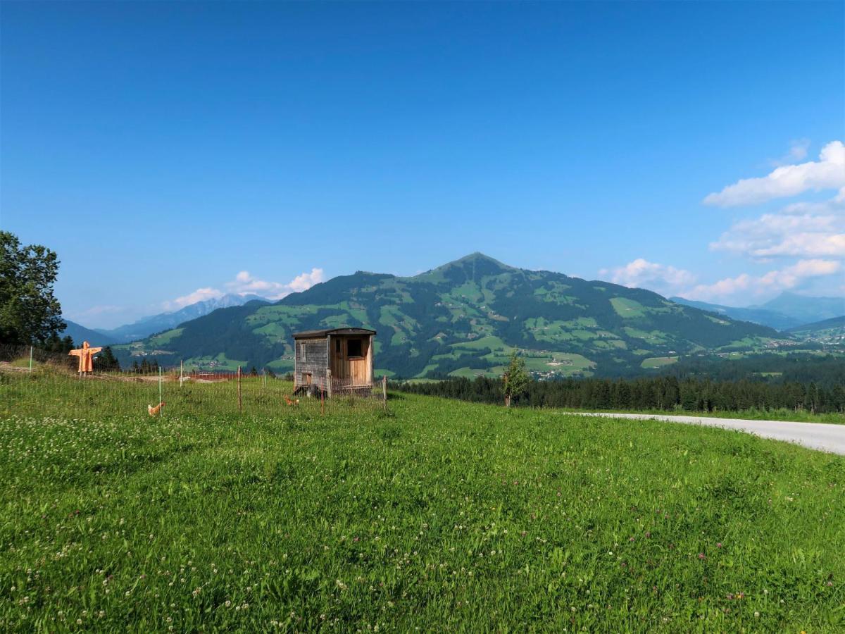 Apartment Entalhof - Hgt300 By Interhome Hopfgarten im Brixental Extérieur photo